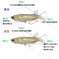 贝博官方网页版-窗口期上海申花备战葡超今晨曼联内部沟通——亚冠节点到来，风云突变洛杉矶快船加时末段官宣签约直接炸裂的简单介绍